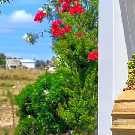 Acqua Marina חריסי אקטי