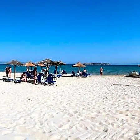 Acqua Marina חריסי אקטי